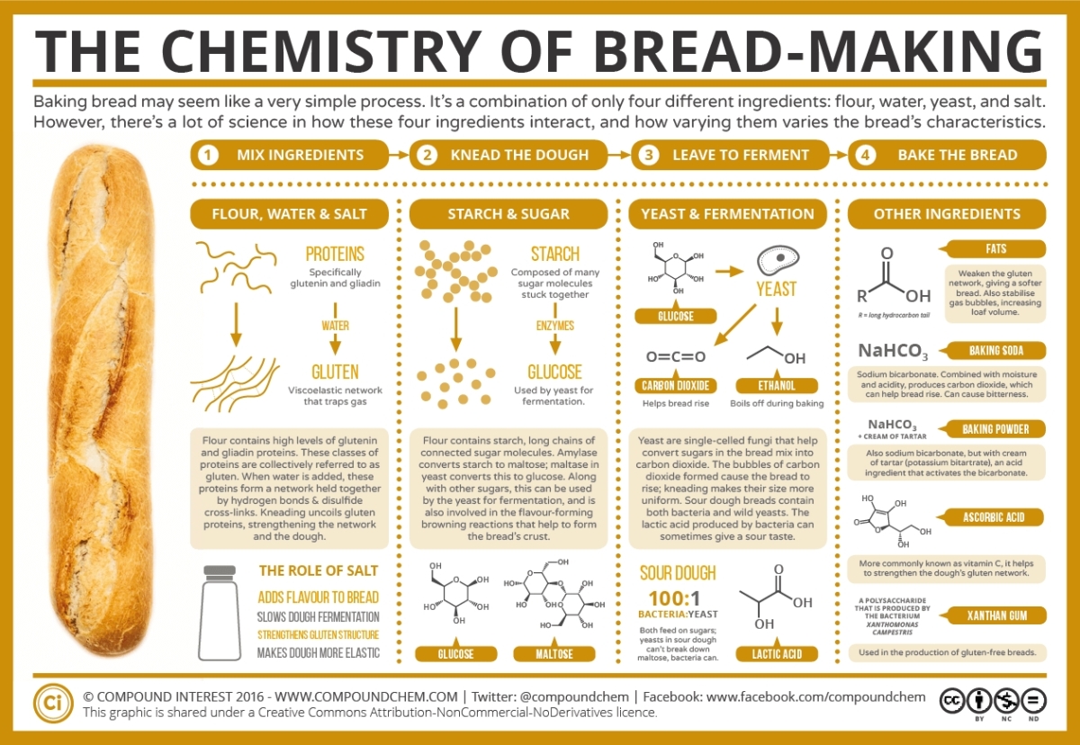 Infographic: The Chemistry Of Bread Making | Fanatic Cook
